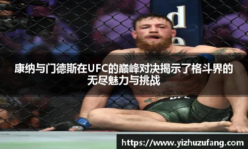 3377体育官网